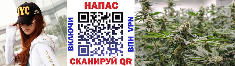 mega зеркало  Томск  Бошки Шишки планчик 